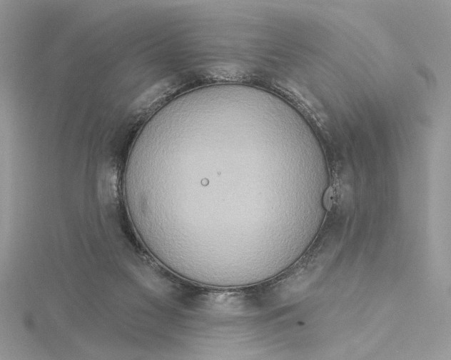 X0000115170117200911181414