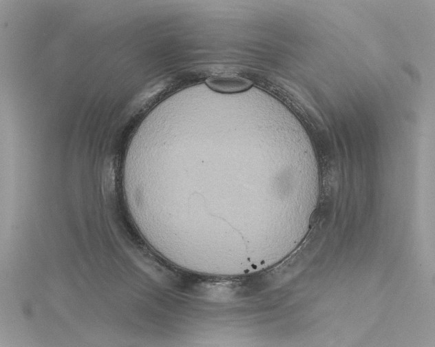 X0000115170120200911181414