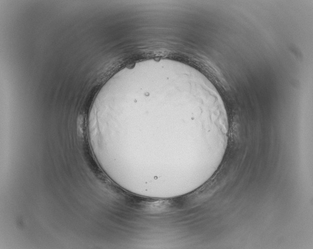 X0000115170122200911181414