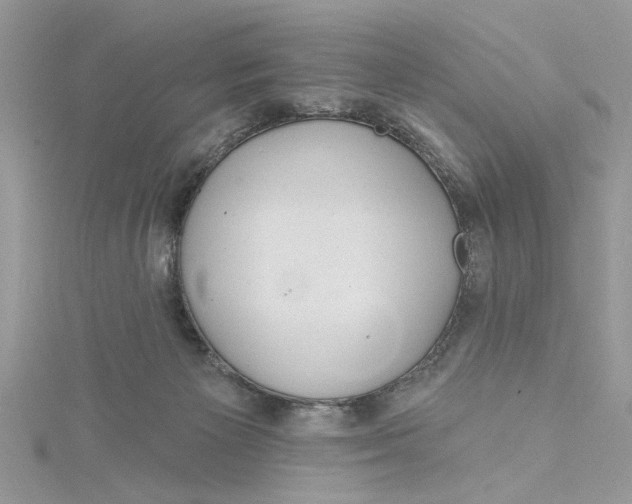 X0000115170125200911181414