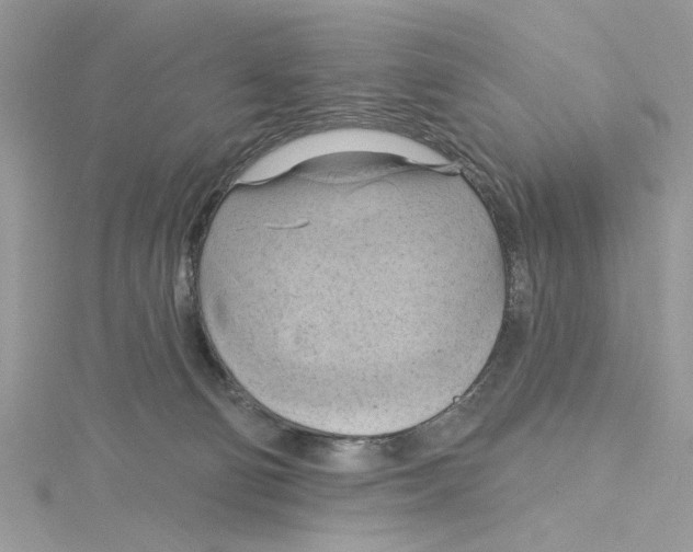 X0000115170130200911181414