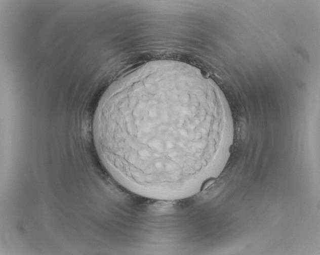 X0000115170138200911181414