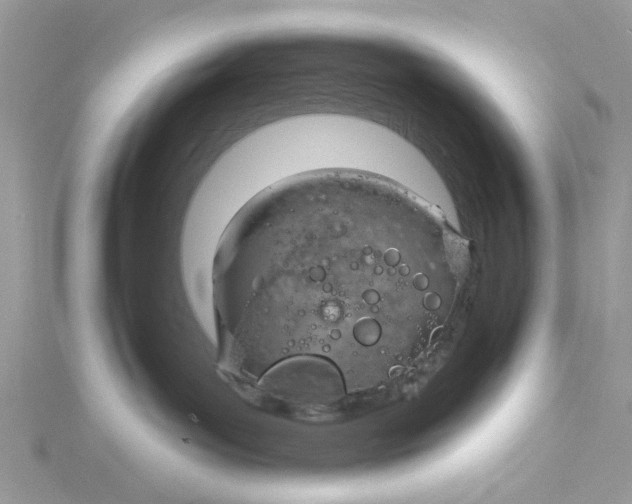 X0000115170143200911181414