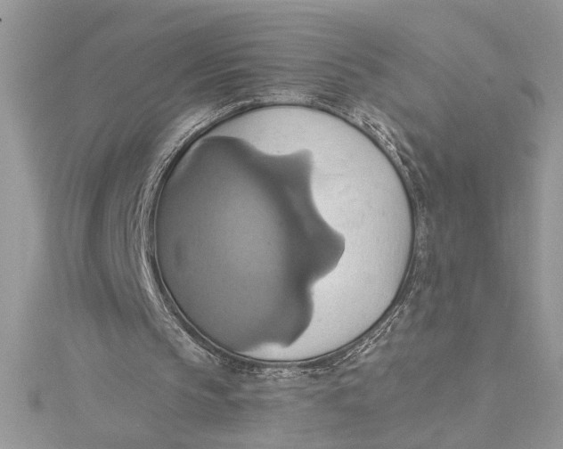 X0000115170145200911181413