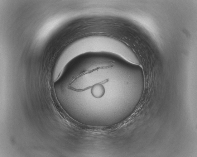 X0000115170146200911181413