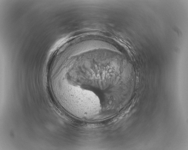 X0000115170149200911181413