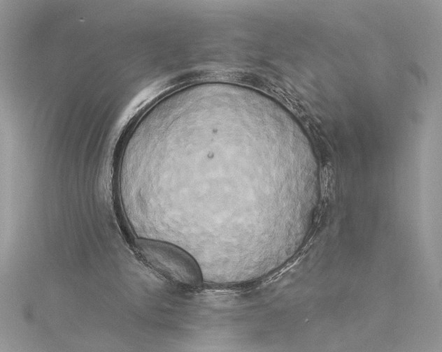 X0000115170150200911181413