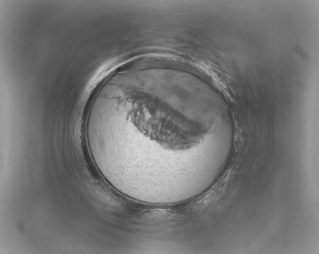 X0000115170151200911181413