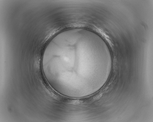 X0000115170153200911181413