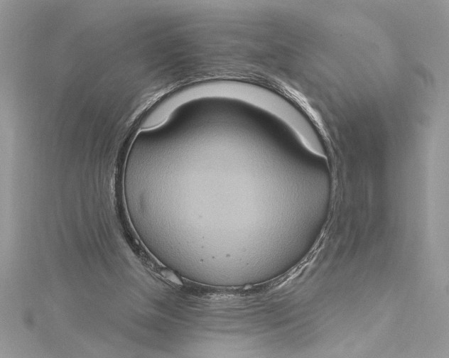 X0000115170154200911181413