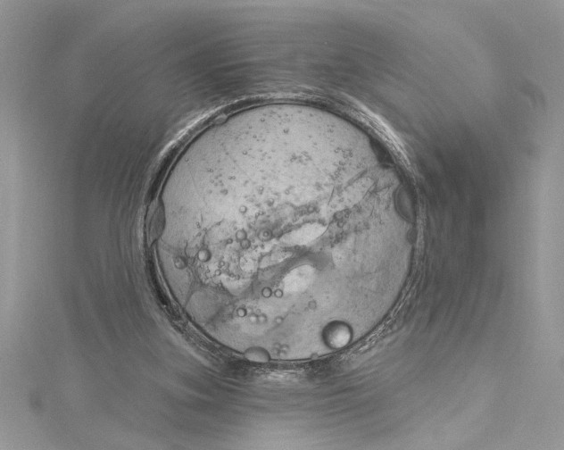 X0000115170155200911181413