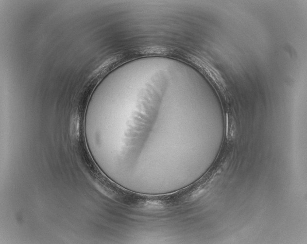 X0000115170157200911181413