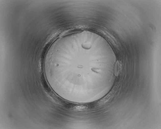 X0000115170158200911181413