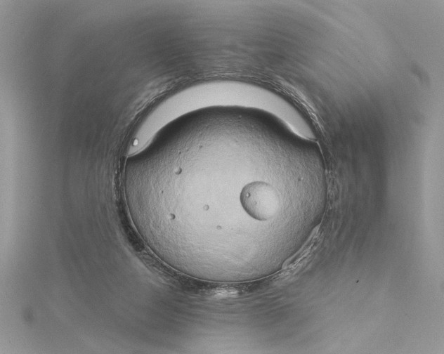 X0000115170162200911181413