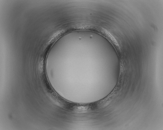 X0000115170163200911181413