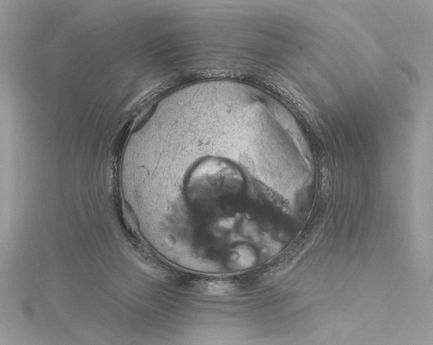 X0000115170165200911181413