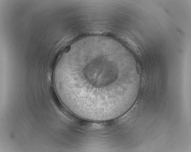 X0000115170166200911181413