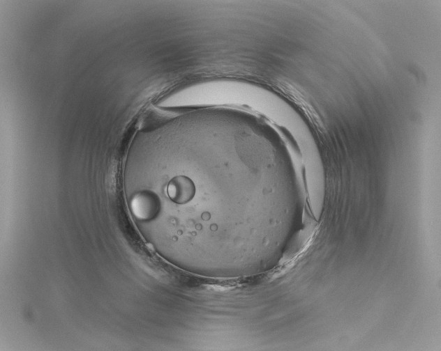 X0000115170167200911181413