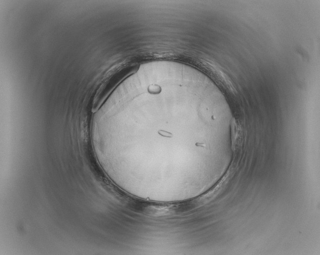 X0000115170170200911181414