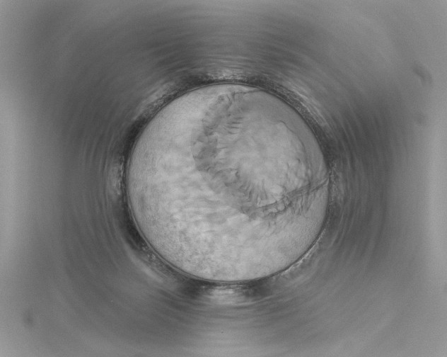 X0000115170171200911181414