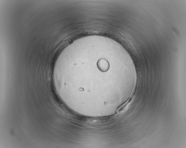 X0000115170174200911181414