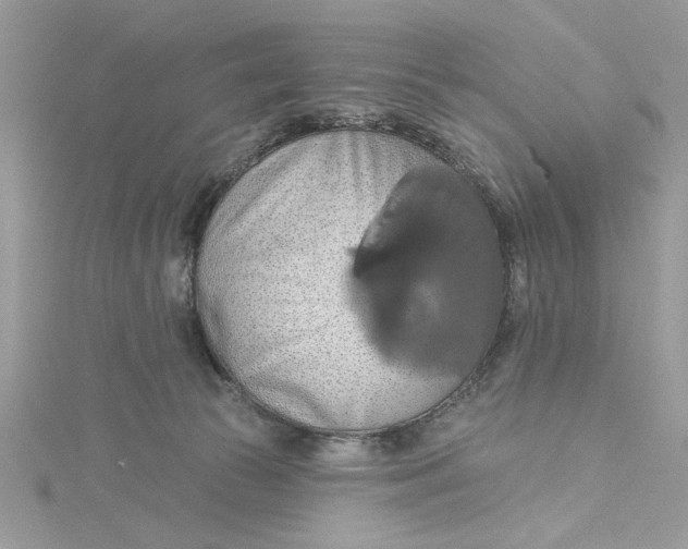 X0000115170177200911181414