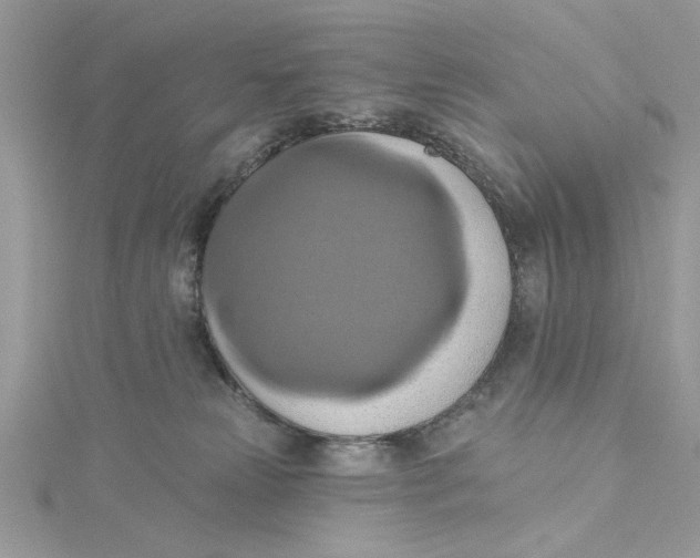 X0000115170181200911181414