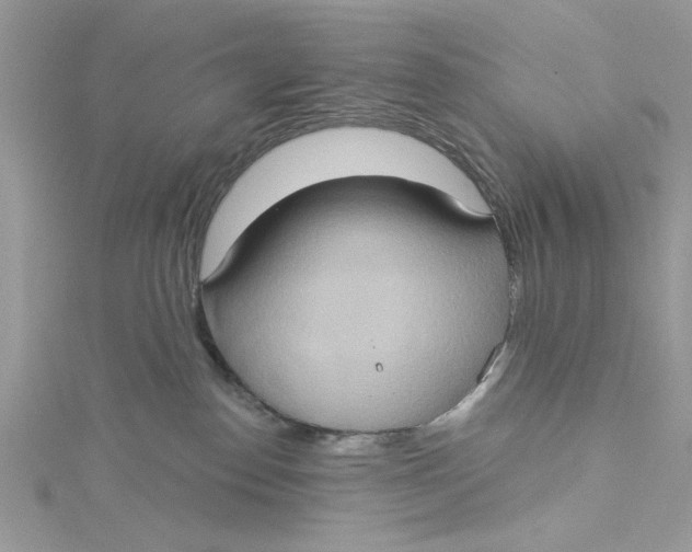 X0000115170186200911181414