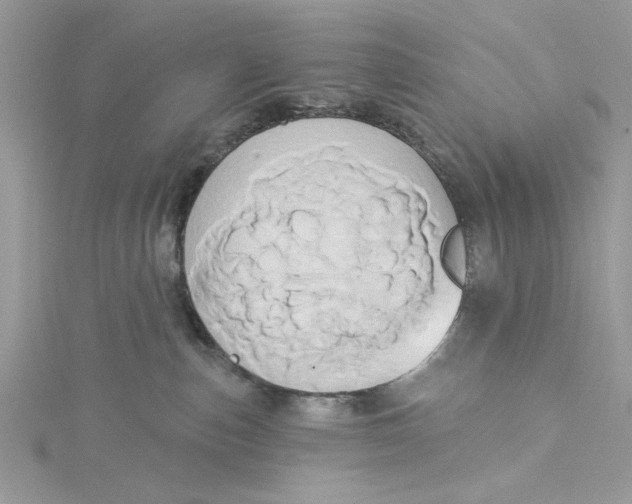 X0000115170187200911181414