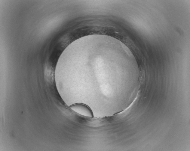 X0000115170191200911181414