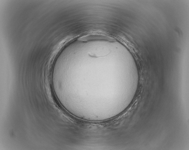 X0000115170193200911181413