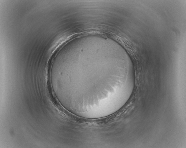 X0000115170194200911181413