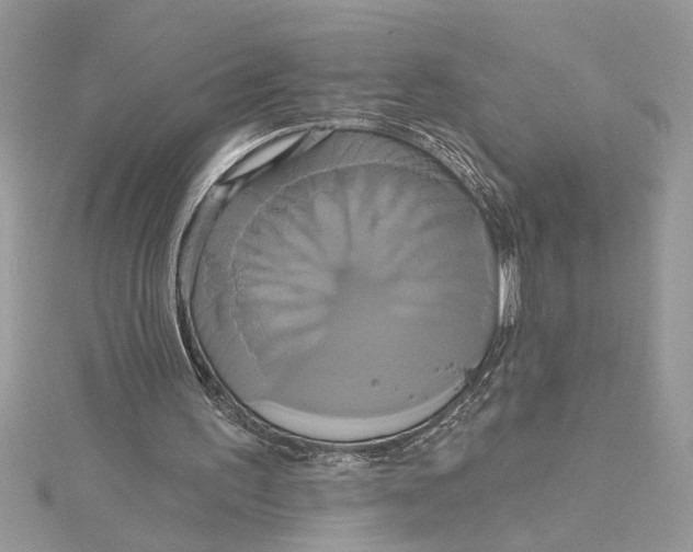 X0000115170195200911181413