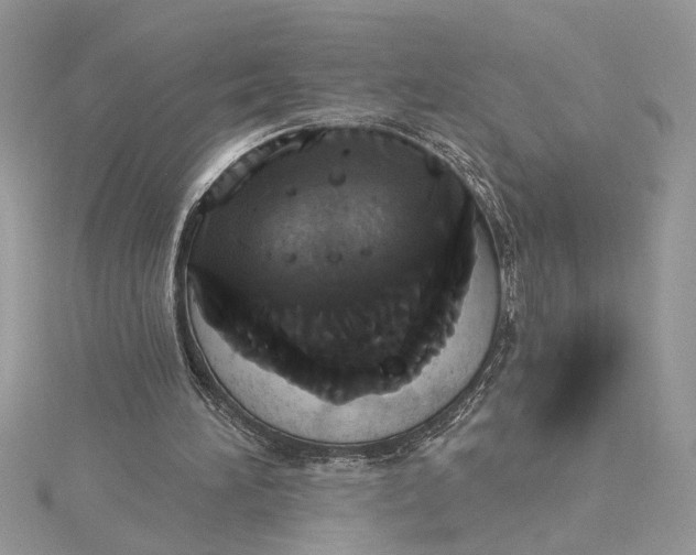 X0000115170196200911181413