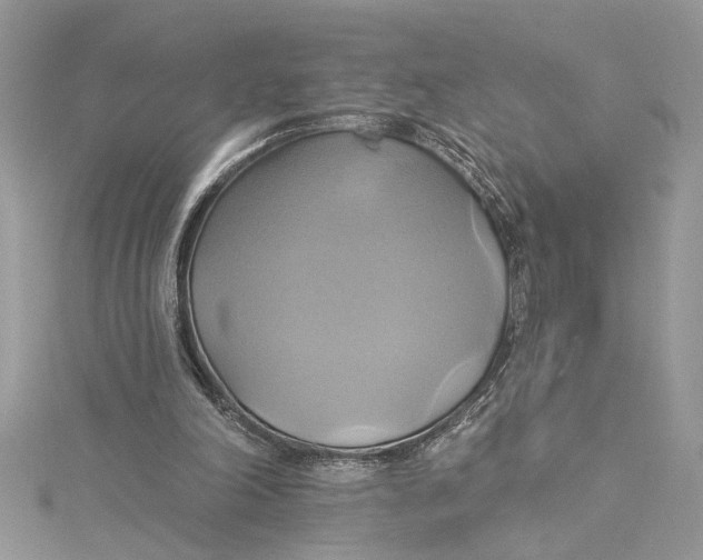 X0000115170198200911181413