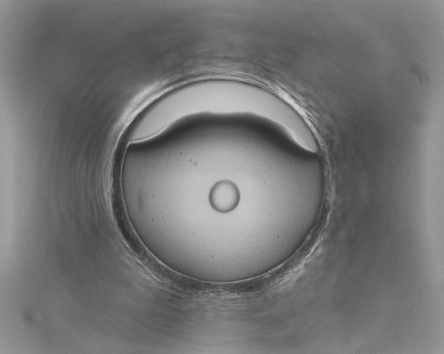 X0000115170199200911181413