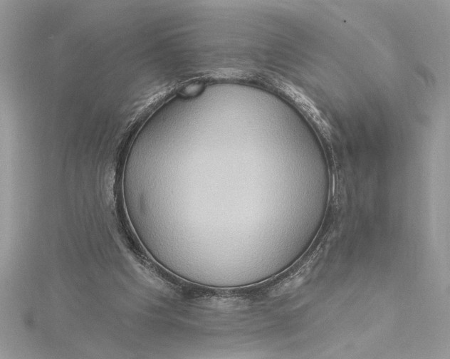 X0000115170201200911181413