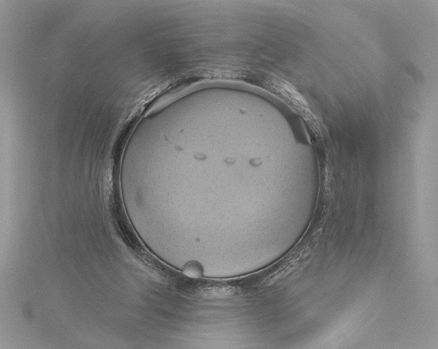 X0000115170202200911181413