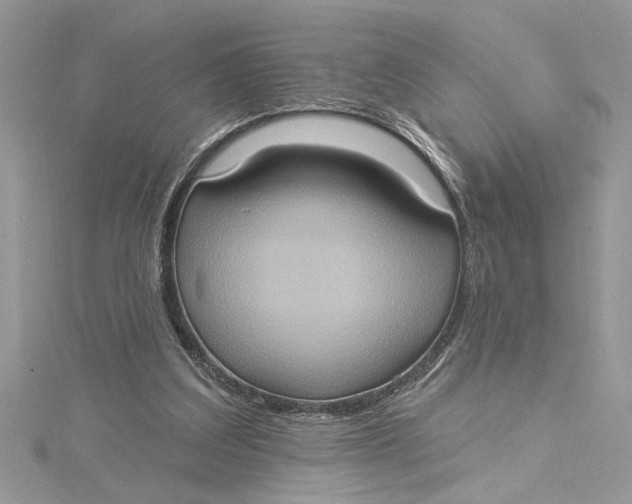 X0000115170203200911181413