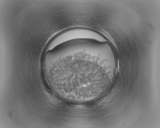 X0000115170204200911181413