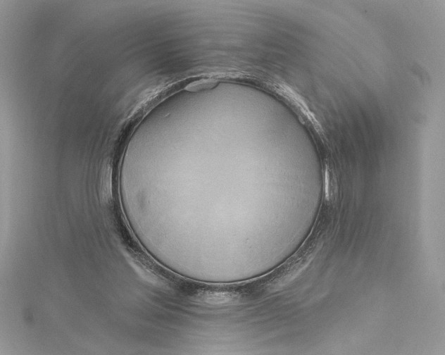 X0000115170205200911181413