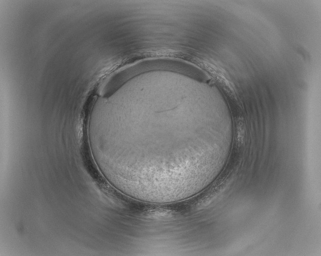 X0000115170206200911181413