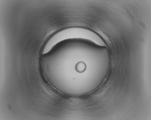 X0000115170207200911181413