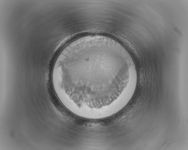 X0000115170208200911181413