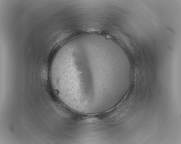 X0000115170210200911181413