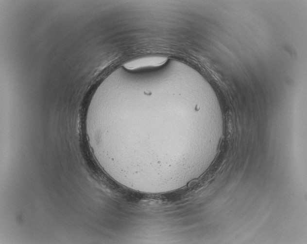 X0000115170211200911181413