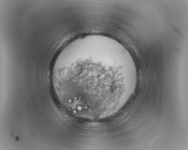 X0000115170212200911181413