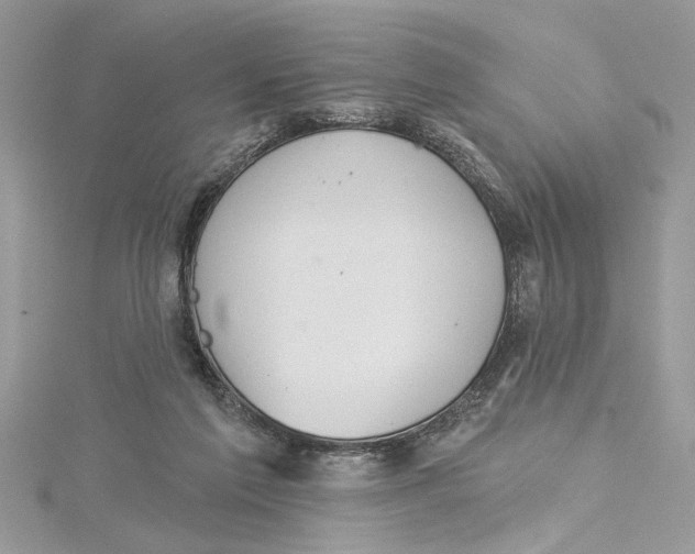 X0000115170213200911181413