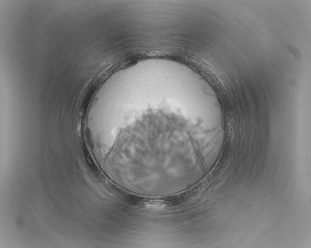 X0000115170214200911181413