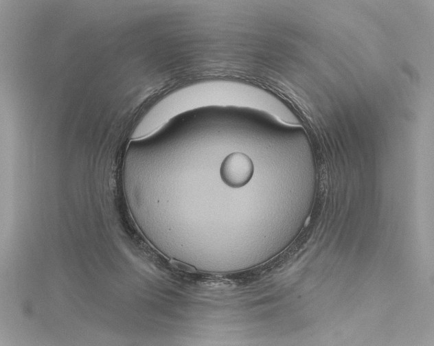 X0000115170215200911181413